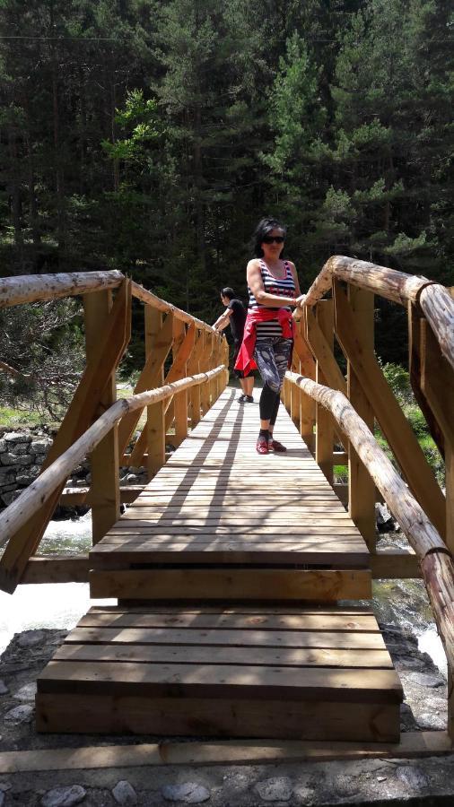 Tes Royal Plaza Apartments Borovets Luaran gambar