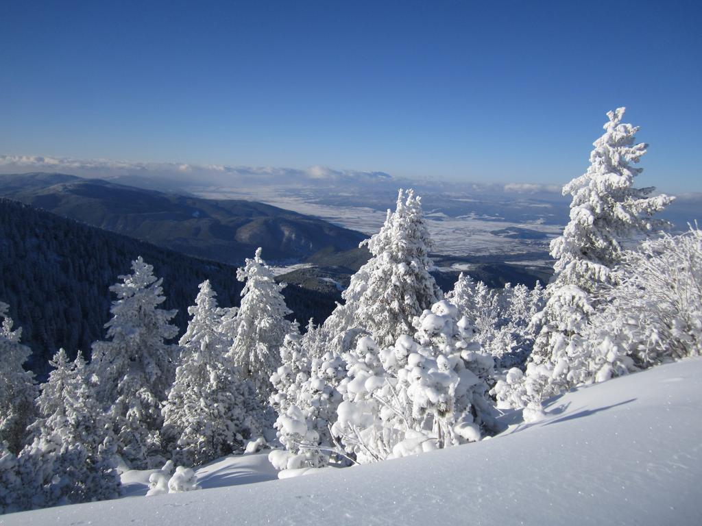 Tes Royal Plaza Apartments Borovets Luaran gambar