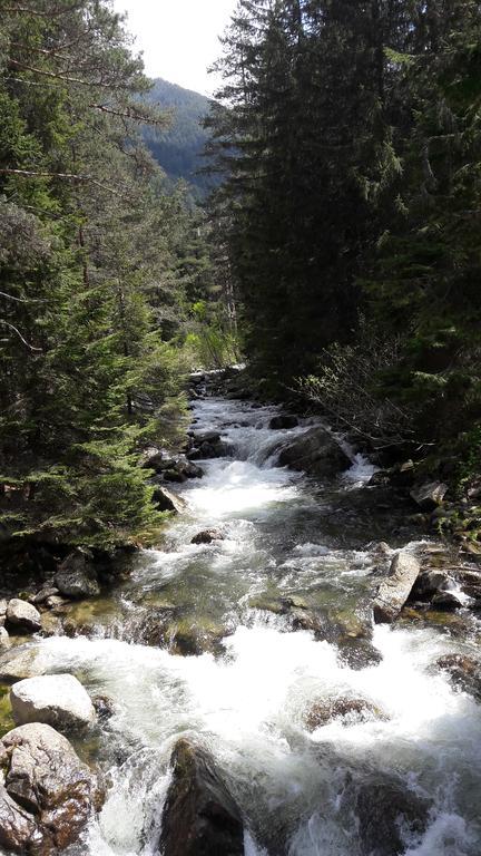 Tes Royal Plaza Apartments Borovets Luaran gambar